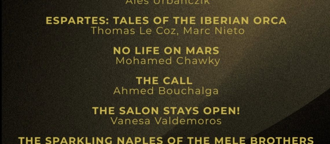 Cannes Film Awards 2026 Beyond the Plan